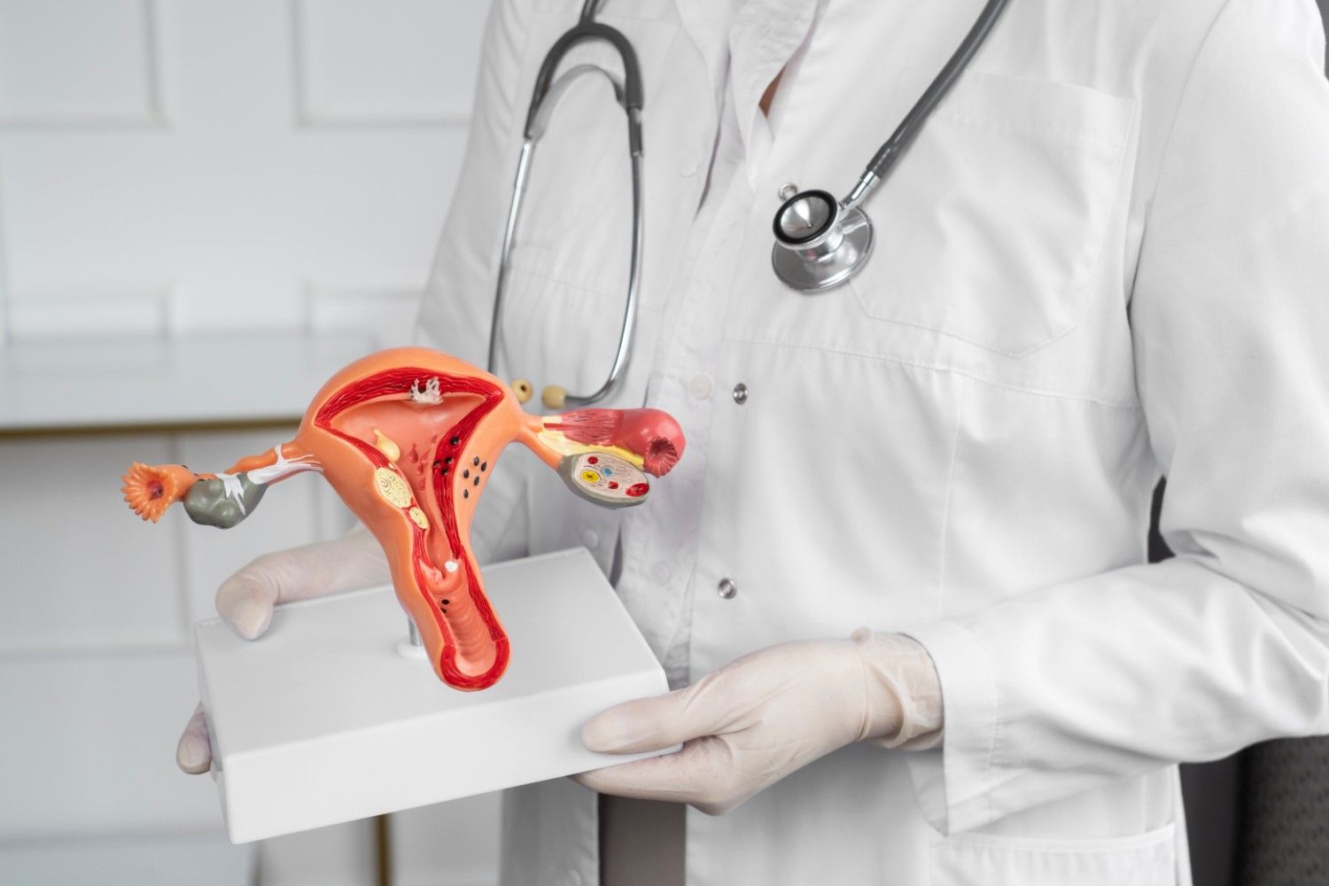 Gynecology Doctor in Sector 62 Noida